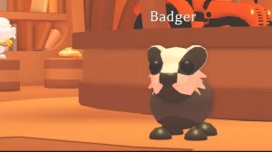 НОВОЕ ОБНОВЛЕНИЕ АДОПТ МИ НОВЫЕ ПИТОМЦЫ РОБЛОКС ADOPT ME ROBLOX UPDATE