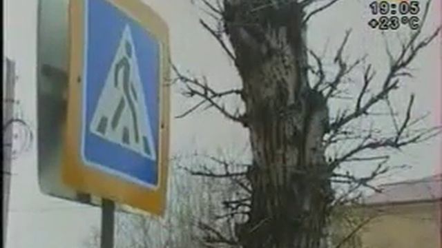 Обрезка тополей в Чите. смотреть онлайн