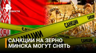 США могут снять санкции против Белоруссии в обмен на вывоз зерна / РЕН Новости