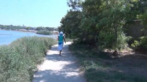 Ту собачку, что бежит за мной зовут последний  шанс....