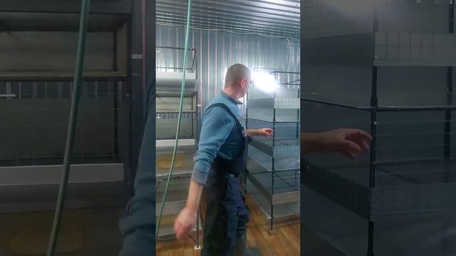 Новые клетки для бройлера готовы. смотреть онлайн