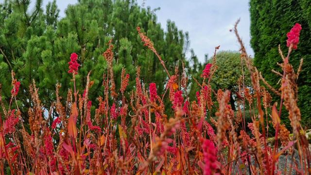 Молитва о мире смотреть онлайн