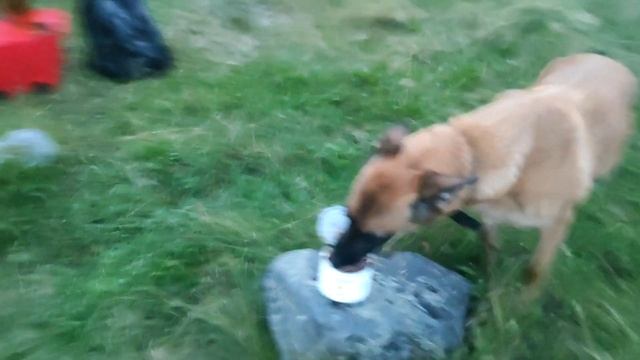 в поисках спящей рыбы смотреть онлайн