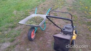 Косим поле Одуванчиков, Пашем Картофельное поле и Садим Картофель сезона 2024