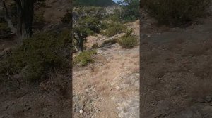 5 серия Гора Сокол Крым Судак интересный пейзаж