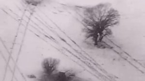 Асы Люфтваффе / Luftwaffe Aces