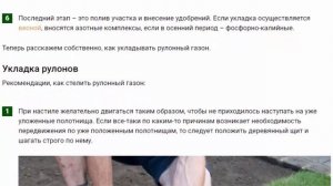 Укладка рулонного газона своими руками тонкости и рекомендации