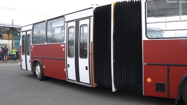 Autobusový den Pid Praha - Letňany 2023 | Historic bus show смотреть онлайн