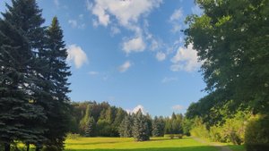 Карелия, Петрозаводск, Ботанический сад 2024