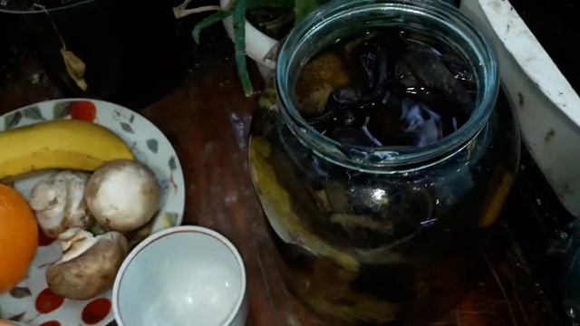 Как удобрять растения дрожжами и банановой кожурой. Обработка всходов артишока