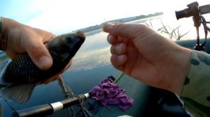 Рыбалка на карася с лодки.  Рыбалка на маховое и болонское удилища. Бешеный клев карася.