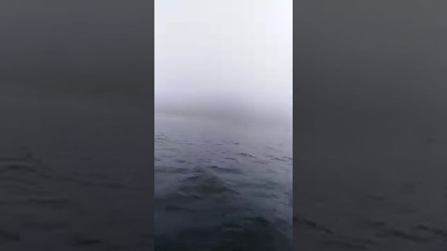 Рыба на нерест не может зайти в реки Колымы. Рыболовецкие суда перегородили входы рыбы в реки. Така смотреть онлайн