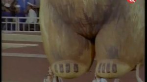 Песня про Мишу Олимпиада в Сочи 2014