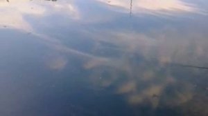 Рыбалка в ботаническом саду с дочерью Катенькой