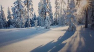 А. Пушкин "Зимнее утро" 1829 г.