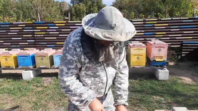 Последняя обработка от Клеща!!!Пасека Готова к Зимовке!!! смотреть онлайн