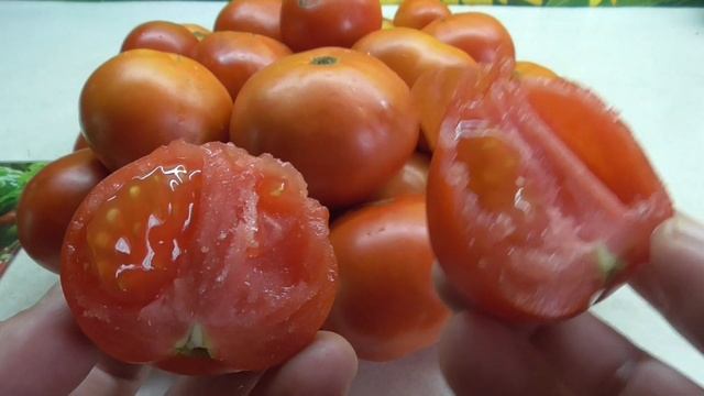 ТОМАТ МОНГОЛЬСКИЙ КАРЛИК. ДЕГУСТАЦИЯ. Ольга Чернова.
