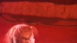 ТАТУ - Робот (Darek Kasi feat. Sergey Tarkhanov)