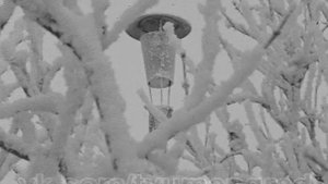 1980 год. Тюмень. Конец января