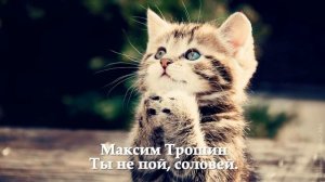 Максим Трошин - Ты не пой, соловей...
