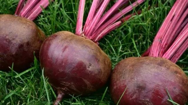 Витамины в свекле: что нужно знать смотреть онлайн