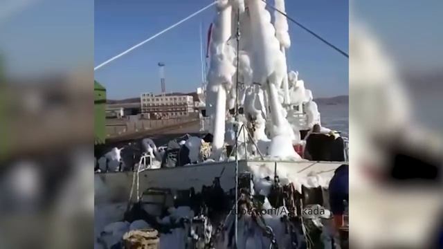 Astakada Владивосток Поиск рыболовного судна Восток в Японском море. Видео с соседнего судна смотреть онлайн