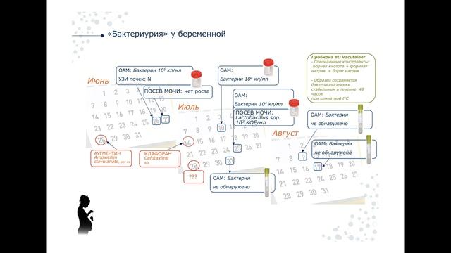 Мочевые синдромы. Протеинурия, Гематурия, Лейкоцитурия и Бактериурия. смотреть онлайн