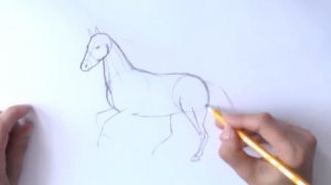 Уроки рисования. Как научиться рисовать лошадь карандашом | Art School