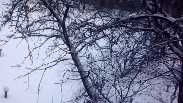 Зима за окном смотреть онлайн