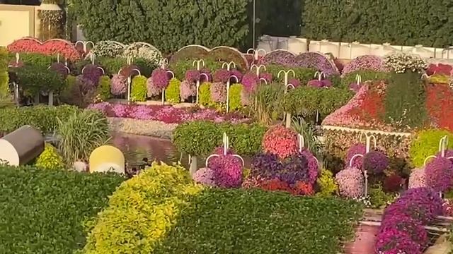 Цветочный парк  Dubai Miracle Garden.Апрель-2023г.
