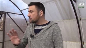 Надёжный способ избавиться от медведки