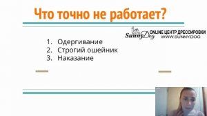 Ваши ошибки в дрессировке по видео Цезаря Милано - так делали в СССР! Отучаем собаку тянуть.