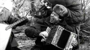 ОДИНОКАЯ ГАРМОНЬ! Ко дню рождения ГЕННАДИЯ ЗАВОЛОКИНА! Ансамбль ВЕЧЁРКА! Гармонист-Антон Заволокин!