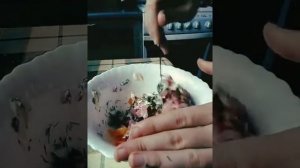 Очень-очень вкусные бутерброды с сыром. СОВЕТУЮ