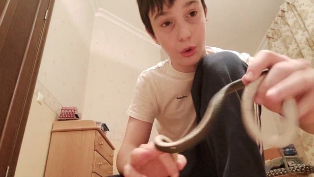 Открытие тайного древнего бокса⏳ смотреть онлайн