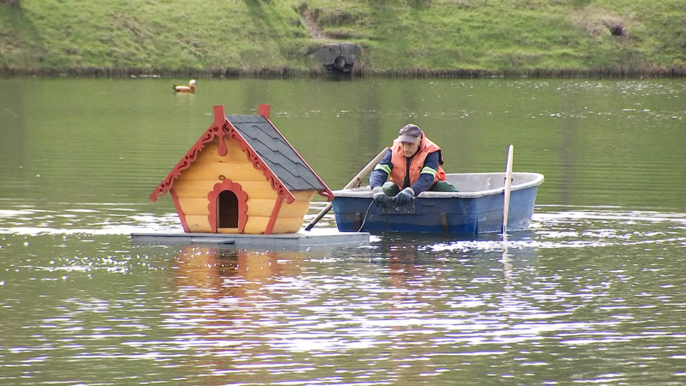 На столичные водоемы возвращаются домики для уточек / Город новостей на ТВЦ