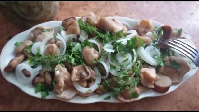 Грибы, грибочки! Чем полезны грибы для организма?