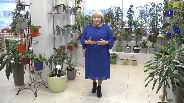 Магазин горшечных растений Веры Глуховой!