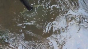 ПРОМЫВКА ШЛЮЗОМ  ДОБАВИЛ 3 КОЛЕНО