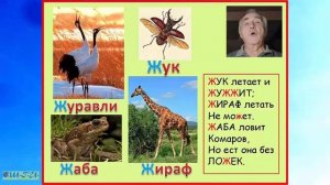 Азбука Часть 1. От А до О