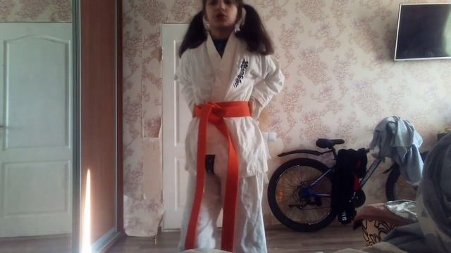 как сдавать экзамен по каратэ на оранжевый пояс смотреть онлайн