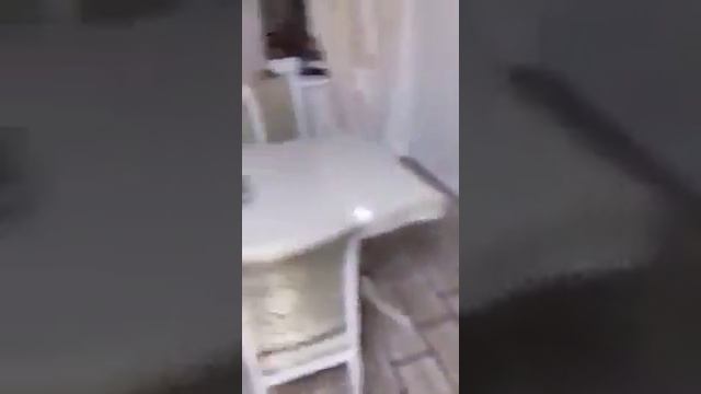 Пьяная жена разбила системник, лицо мужу и учинила беспорядок в квартире 18 смотреть онлайн