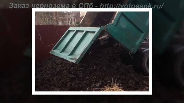 Чернозем с доставкой в Санкт-Петербурге смотреть онлайн