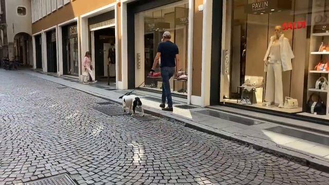 Обувь на осень. Что модно этой осенью, какая обувь строение смотреть онлайн