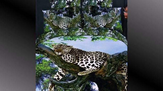 Ищете 3d постельное белье недорого? Добро пожаловать!