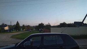 Коровье бешенство