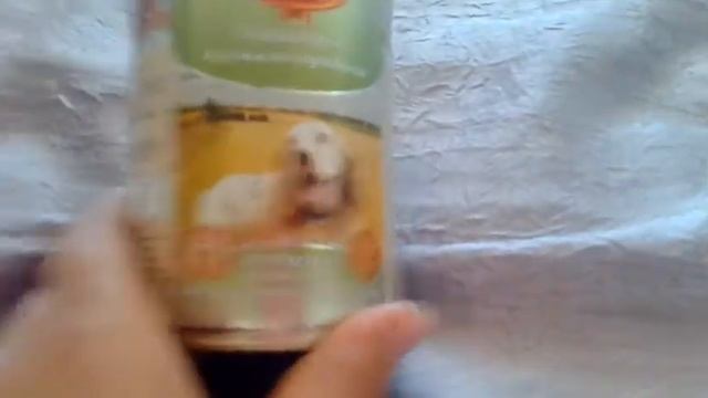 Покупки из зоомагазина для собаки и котёнка) смотреть онлайн