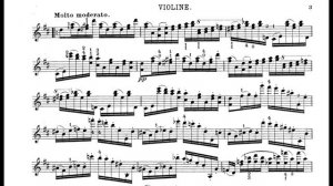 Niccolo Paganini - La Campanella. #paganini #campanella #lacampanella #robertstepanian
