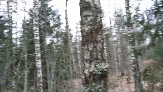 Пасторское озеро