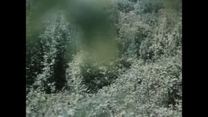 Дети капитана Гранта. 4-серия. Эпизод: "Ни одна псина не уйдёт...!"